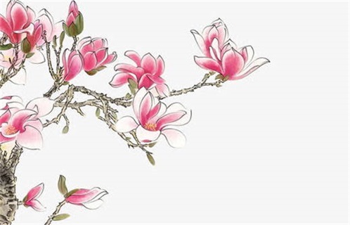 2026年05月25日动土黄道吉日 今日动土建房好不好 2026年05月25日动土黄道吉日 今日动土建房好不好