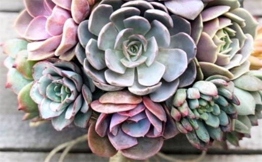 2028年06月06日结婚好不好 办婚礼吉利吗