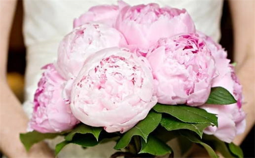 2028年农历七月十一是不是结婚吉日 今日办喜事好不好