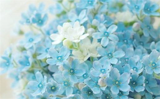 2028年03月20日结婚黄道吉日 今日办婚礼好不好