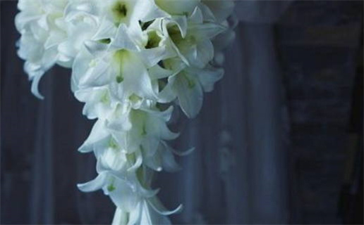 2028年09月29日结婚好吗 宜办婚礼吉日查询