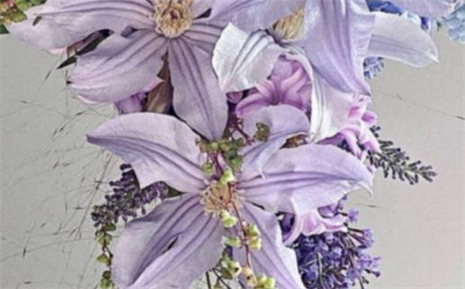 2026年11月04日领证好不好 今日领证结婚好吗