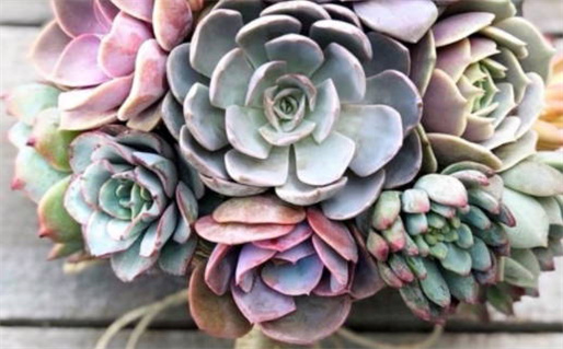 2027年农历腊月十三领证吉日查询 今日领证好不好