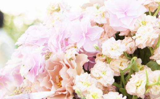 2026年10月31日领证吉日查询 今日登记结婚好不好