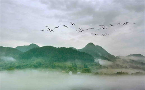 2027年01月04日领证日子如何 今日登记领证好吗