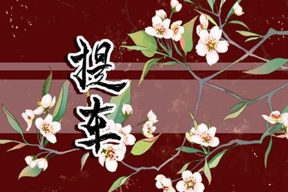 2025年农历闰六月十一提车好吗 提新车吉利吗