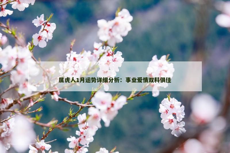 属虎人1月运势详细分析：事业爱情双料俱佳