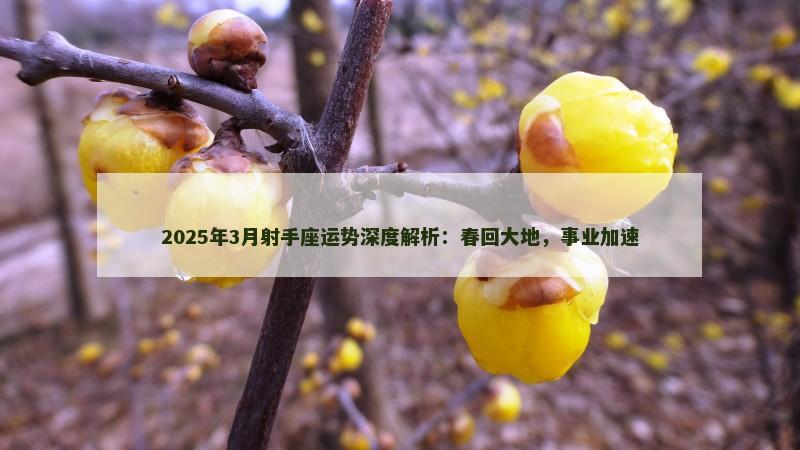 2025年3月射手座运势深度解析：春回大地，事业加速