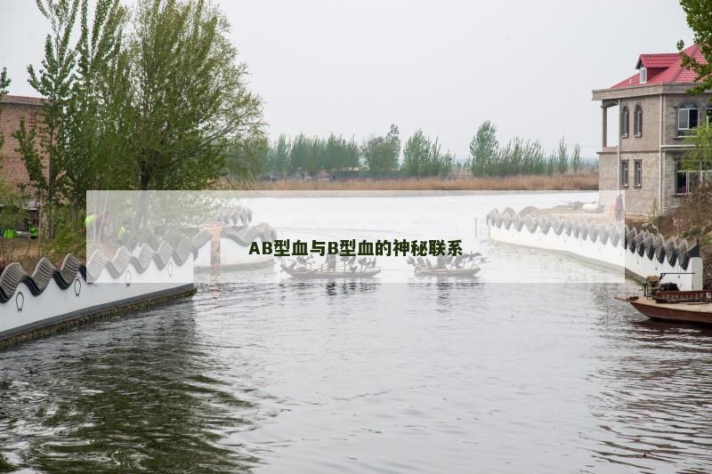 AB型血与B型血的神秘联系