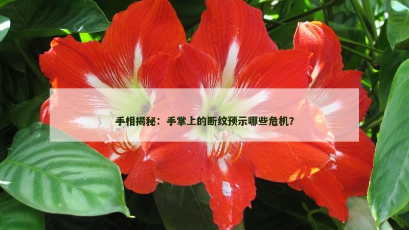 手相揭秘：手掌上的断纹预示哪些危机？
