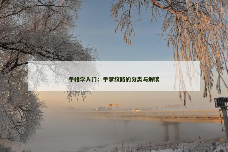 手相学入门：手掌纹路的分类与解读