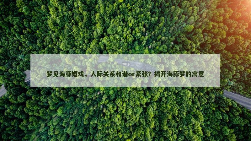 梦见海豚嬉戏，人际关系和谐or紧张？揭开海豚梦的寓意