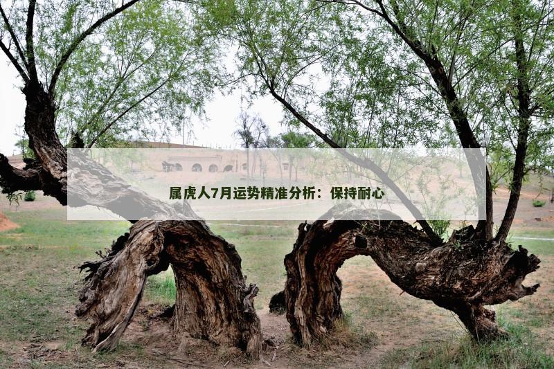 属虎人7月运势精准分析：保持耐心