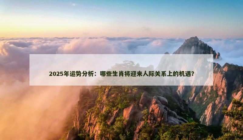 2025年运势分析：哪些生肖将迎来人际关系上的机遇？