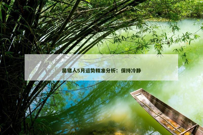 属猪人5月运势精准分析：保持冷静