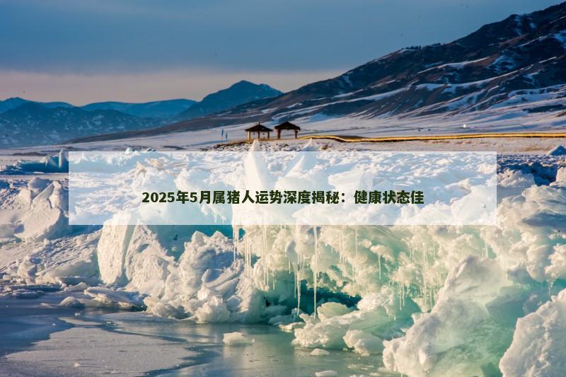 2025年5月属猪人运势深度揭秘：健康状态佳