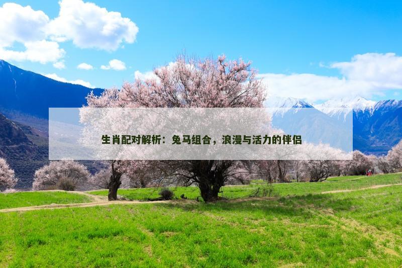 生肖配对解析：兔马组合，浪漫与活力的伴侣