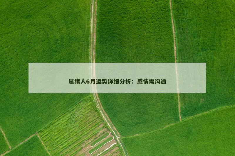 属猪人6月运势详细分析：感情需沟通