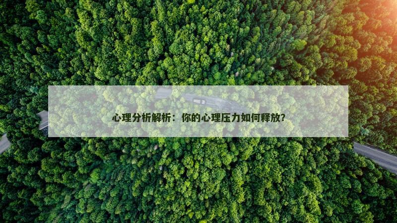 心理分析解析：你的心理压力如何释放？