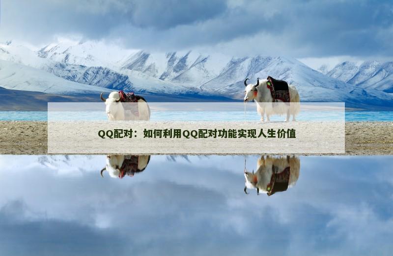QQ配对：如何利用QQ配对功能实现人生价值