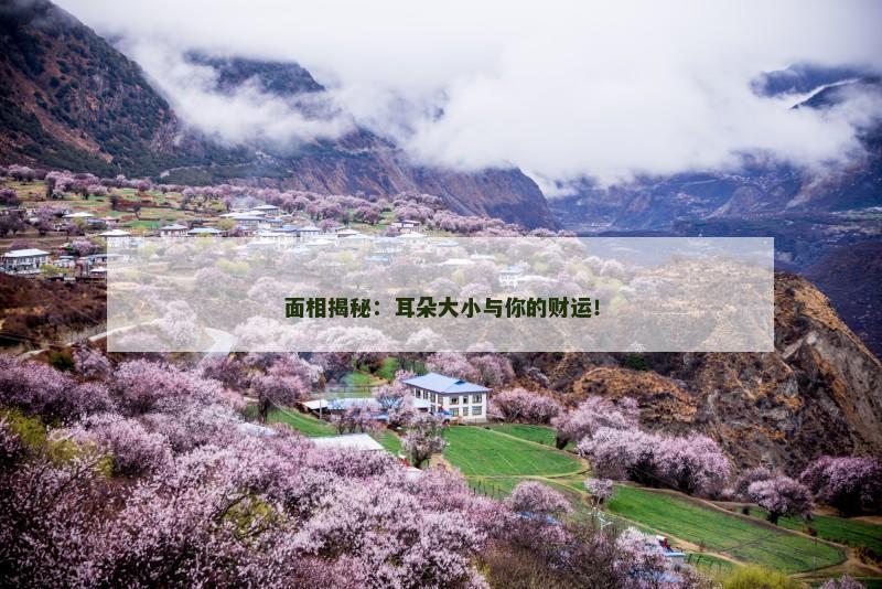 面相揭秘：耳朵大小与你的财运！