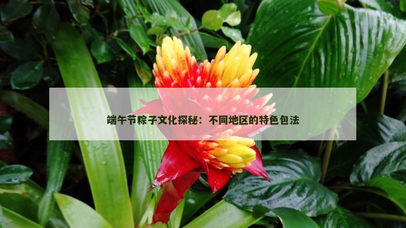 端午节粽子文化探秘：不同地区的特色包法