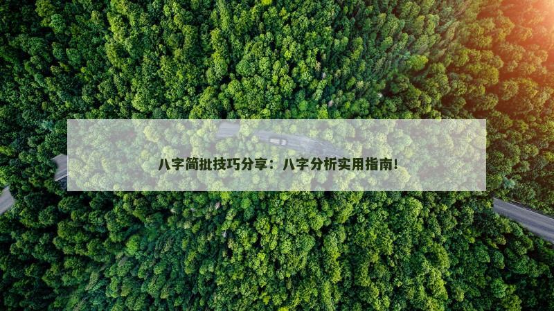 八字简批技巧分享：八字分析实用指南！
