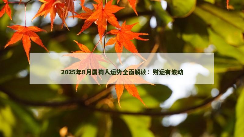 2025年8月属狗人运势全面解读：财运有波动