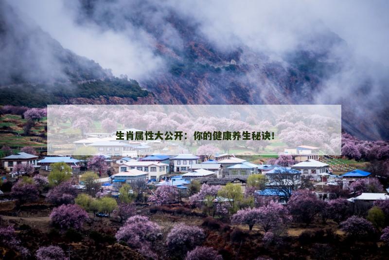 生肖属性大公开：你的健康养生秘诀！