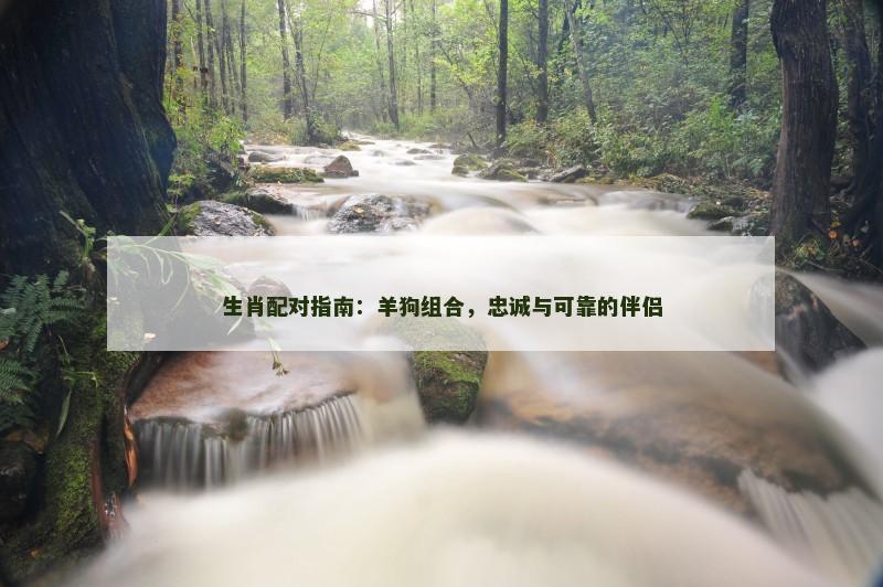 生肖配对指南：羊狗组合，忠诚与可靠的伴侣