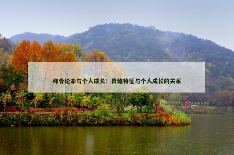 称骨论命与个人成长：骨骼特征与个人成长的关系