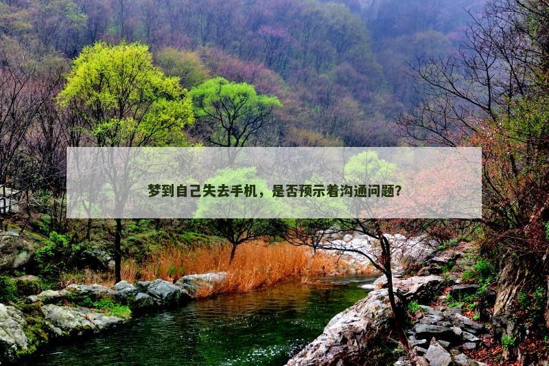 梦到自己失去手机，是否预示着沟通问题？