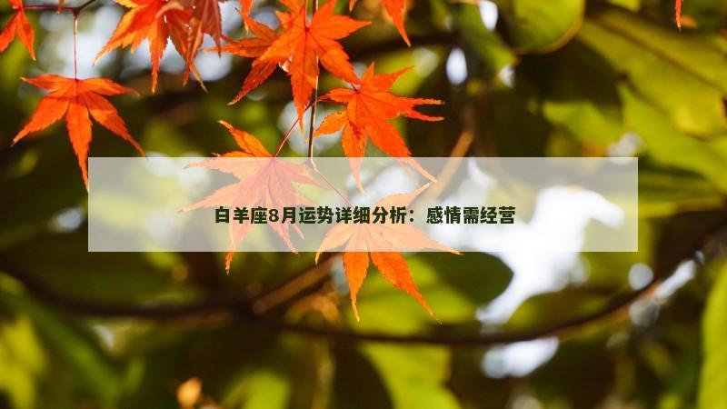 白羊座8月运势详细分析：感情需经营
