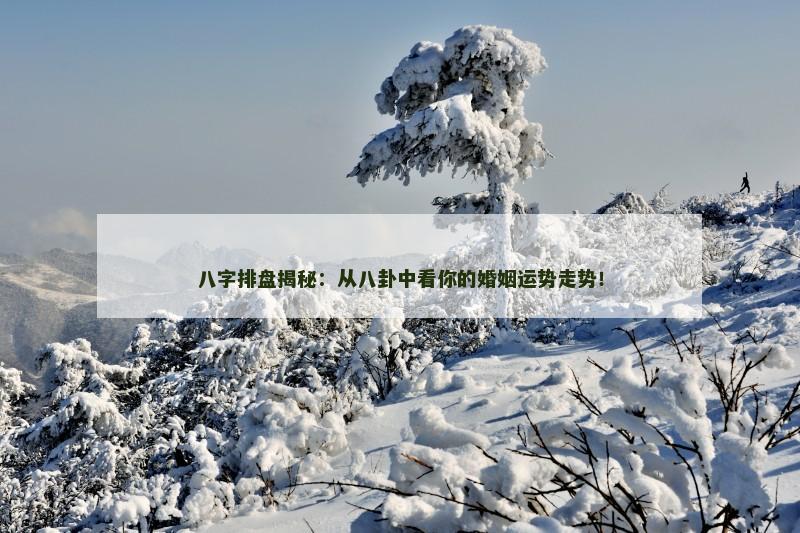 八字排盘揭秘：从八卦中看你的婚姻运势走势！