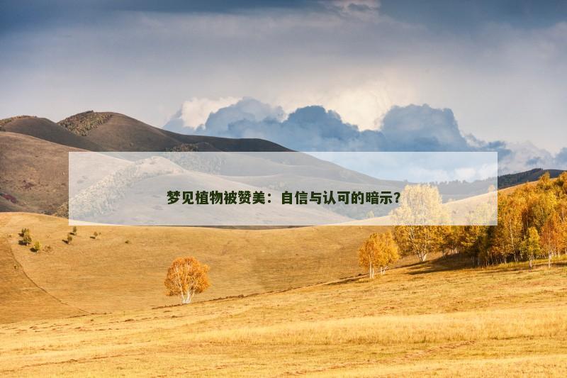梦见植物被赞美：自信与认可的暗示？