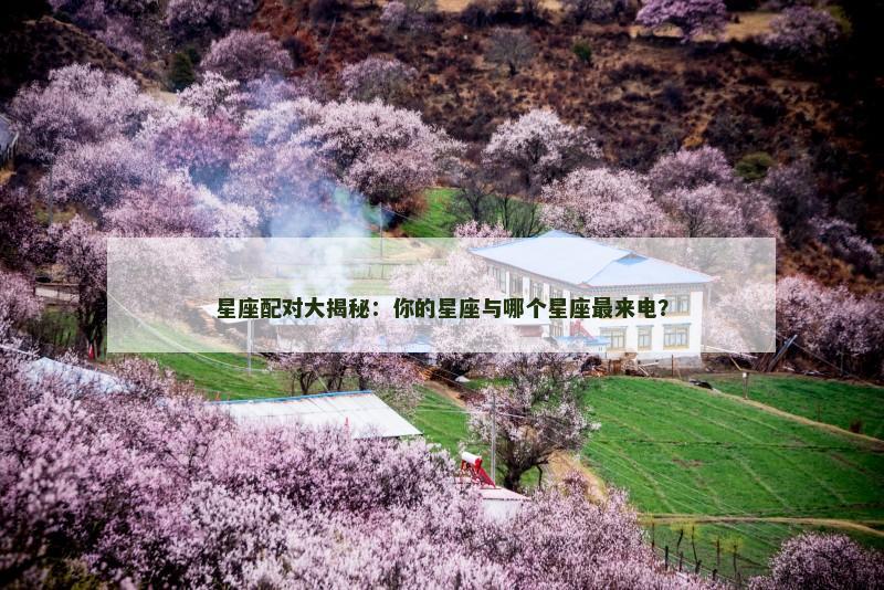 星座配对大揭秘：你的星座与哪个星座最来电？