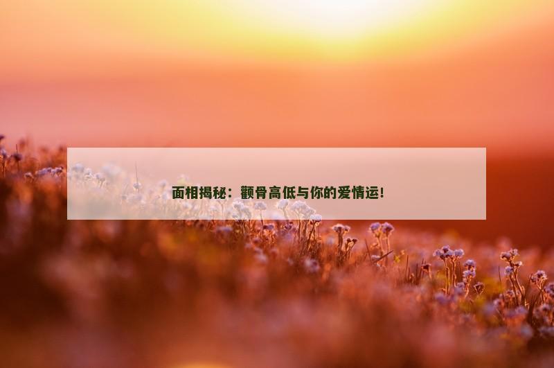 面相揭秘：颧骨高低与你的爱情运！
