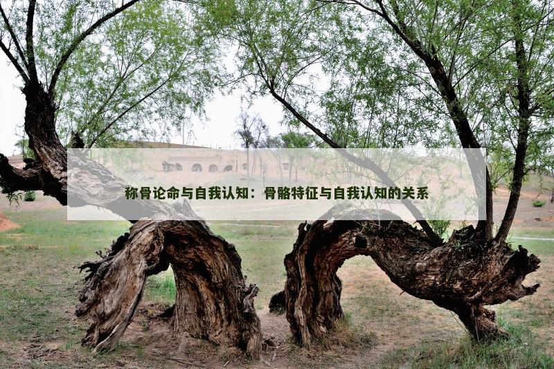 称骨论命与自我认知：骨骼特征与自我认知的关系