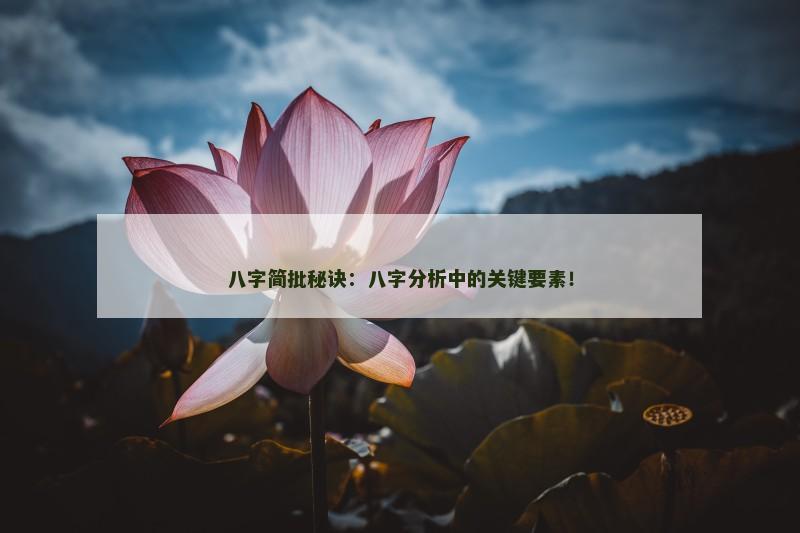 八字简批秘诀：八字分析中的关键要素！