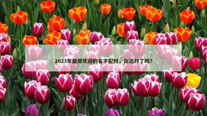 2023年最受欢迎的名字配对，你选对了吗？