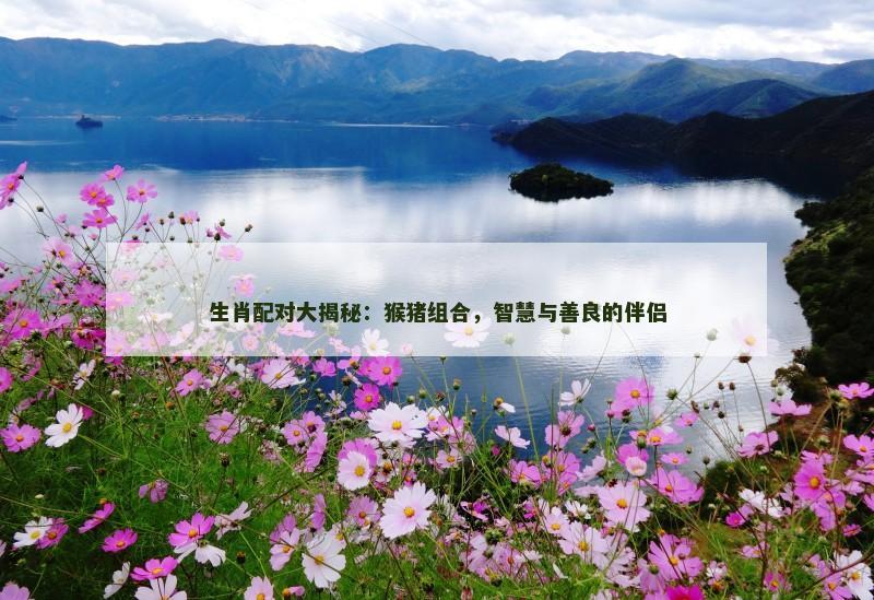 生肖配对大揭秘：猴猪组合，智慧与善良的伴侣