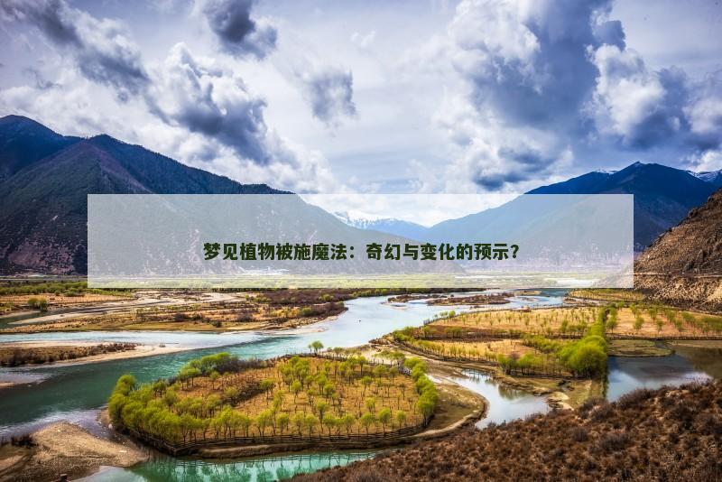梦见植物被施魔法：奇幻与变化的预示？