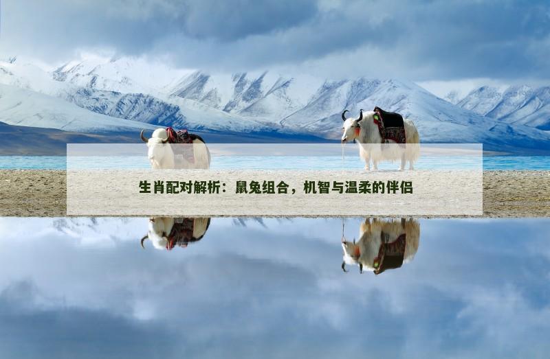 生肖配对解析：鼠兔组合，机智与温柔的伴侣