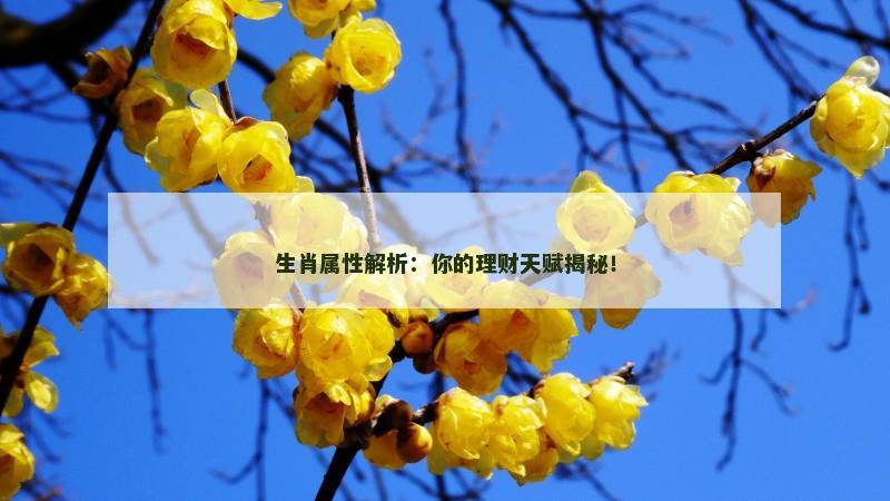 生肖属性解析：你的理财天赋揭秘！