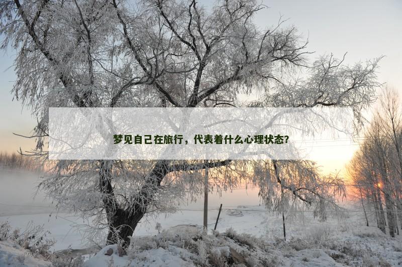 梦见自己在旅行，代表着什么心理状态？