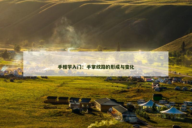 手相学入门：手掌纹路的形成与变化