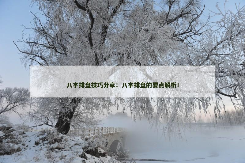 八字排盘技巧分享：八字排盘的要点解析！