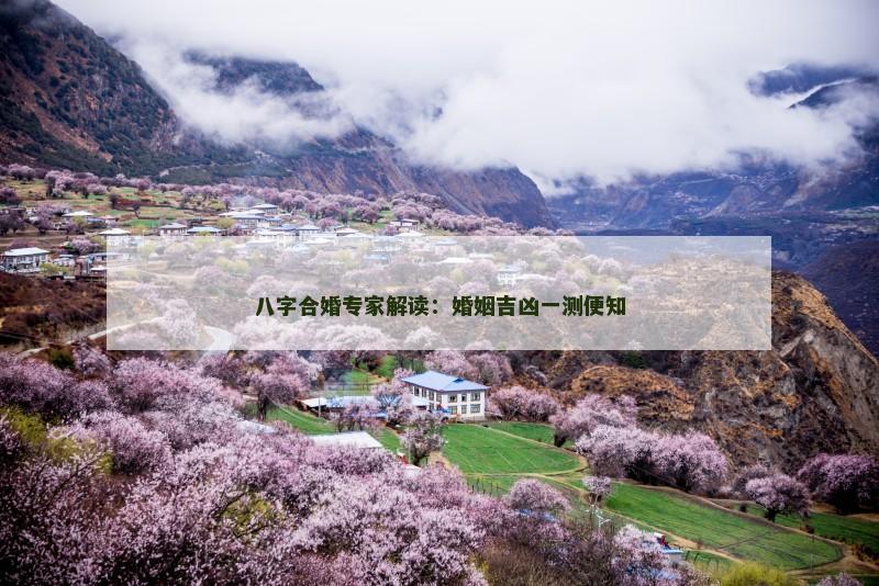 八字合婚专家解读：婚姻吉凶一测便知