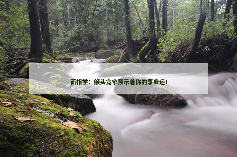 面相学：额头宽窄预示着你的事业运！
