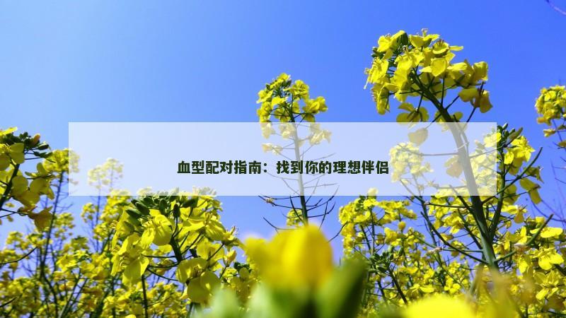 血型配对指南：找到你的理想伴侣